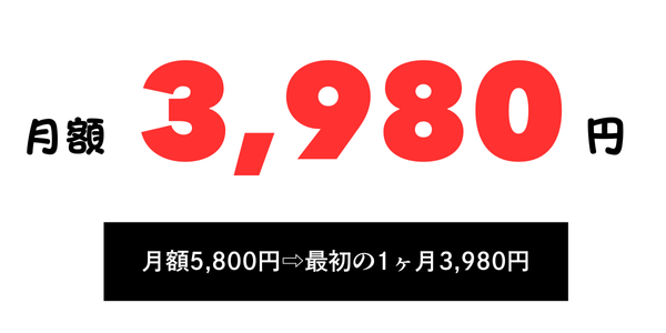 3,980円